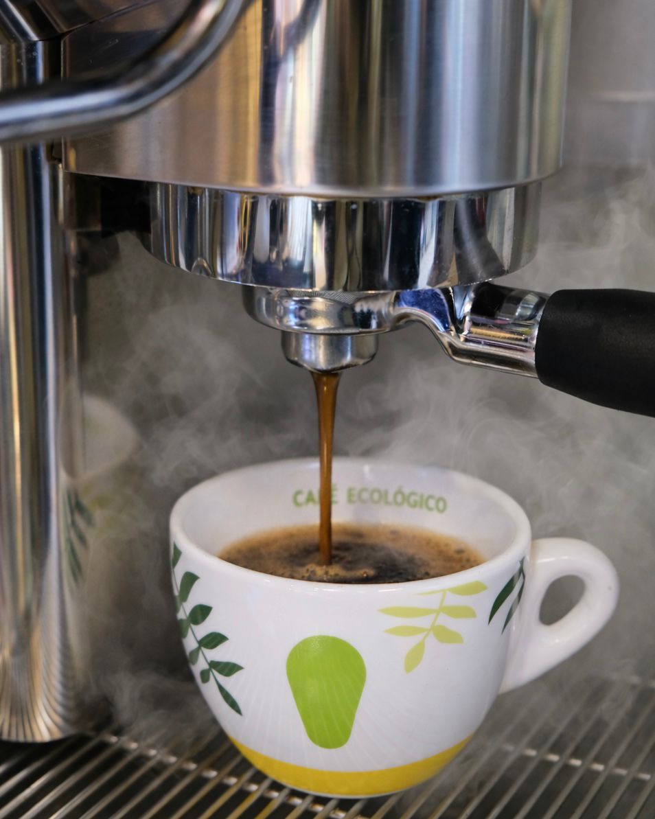 Café ecológico recién hecho